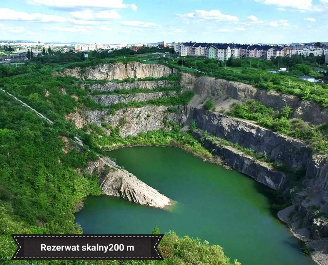 Black Rose Apartament Targi 3 Km, F-Ry Vat Kielce Luaran gambar